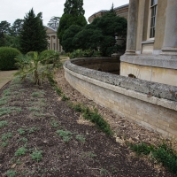 SNTV 2018-08-12 Ickworth 03