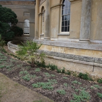 SNTV 2018-08-12 Ickworth 04