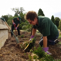 SNTV 2018-08-12 Ickworth 08