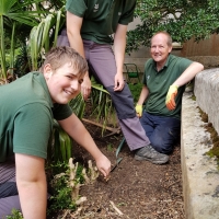 SNTV 2018-08-12 Ickworth 09