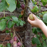 SNTV 2018-08-26 Melford Hall 01