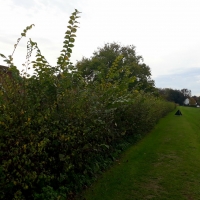 SNTV 2018-11-04 Melford Hall 01