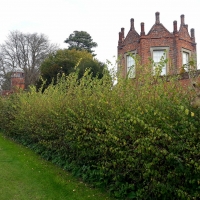 SNTV 2018-11-04 Melford Hall 02