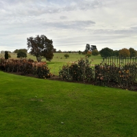 SNTV 2018-11-04 Melford Hall 03