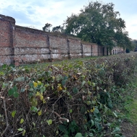 SNTV 2018-11-04 Melford Hall 20