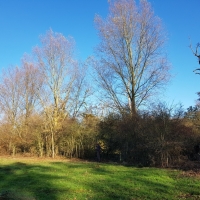 SNTV Fen Bridge 2018-11-18 01