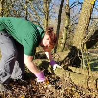 SNTV Fen Bridge 2018-11-18 05