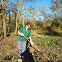 SNTV Fen Bridge 2018-11-18 09