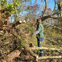 SNTV Fen Bridge 2018-11-18 11