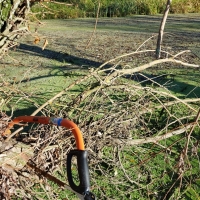 SNTV Fen Bridge 2018-11-18 12