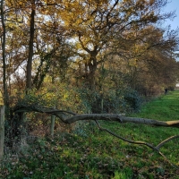 SNTV Fen Bridge 2018-11-18 15