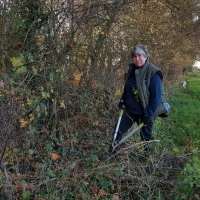 SNTV Fen Bridge 2018-11-18 17