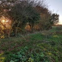 SNTV Fen Bridge 2018-11-18 18