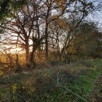 SNTV Fen Bridge 2018-11-18 19