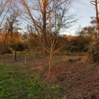 SNTV Fen Bridge 2018-11-18 20