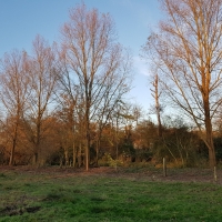 SNTV Fen Bridge 2018-11-18 21