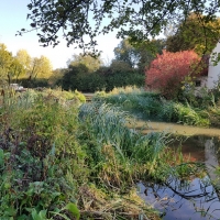 SNTV Flatford 2018-09-30 01