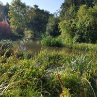 SNTV Flatford 2018-09-30 05