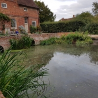 SNTV Flatford 2018-09-30 11