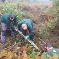 SNTV Surrey Hills 2018-10 08