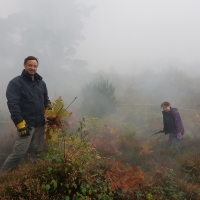 SNTV Surrey Hills 2018-10 09