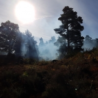 SNTV Surrey Hills 2018-10 23