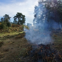 SNTV Surrey Hills 2018-10 38