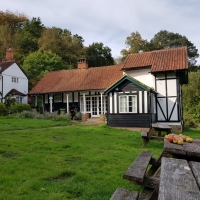 SNTV Surrey Hills 2018-10 40