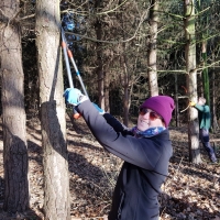 SNTV Pin Milll 2018-12-16 06