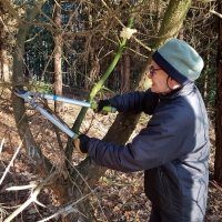 SNTV Pin Milll 2018-12-16 07