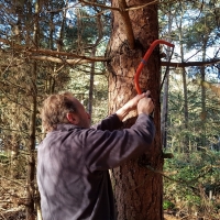 SNTV Pin Milll 2018-12-16 09