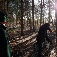 SNTV Pin Milll 2018-12-16 10