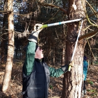 SNTV Pin Milll 2018-12-16 11