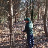 SNTV Pin Milll 2018-12-16 12