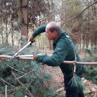 SNTV Pin Milll 2018-12-16 13