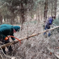 SNTV Pin Milll 2018-12-16 14