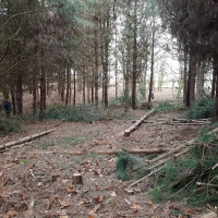 SNTV Pin Milll 2018-12-16 15