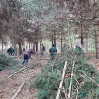 SNTV Pin Milll 2018-12-16 16