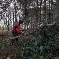 SNTV Pin Milll 2018-12-16 17