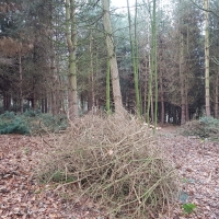 SNTV Pin Milll 2018-12-16 18