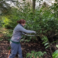 SNTV Ickworth 2019-02-03 04