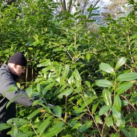 SNTV Ickworth 2019-02-03 05