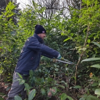 SNTV Ickworth 2019-02-03 06