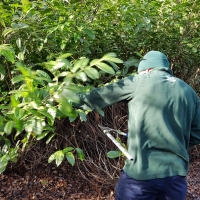 SNTV Ickworth 2019-02-03 07