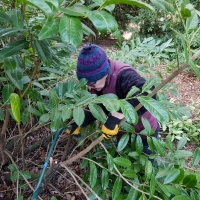 SNTV Ickworth 2019-02-03 08