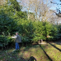 SNTV Ickworth 2019-02-03 09