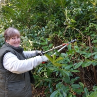 SNTV Ickworth 2019-02-03 10