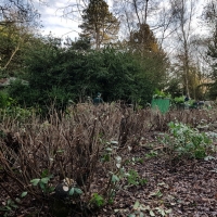 SNTV Ickworth 2019-02-03 11