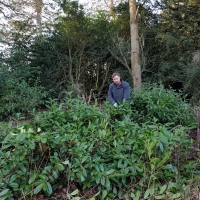 SNTV Ickworth 2019-02-03 12