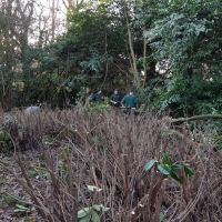 SNTV Ickworth 2019-02-03 13